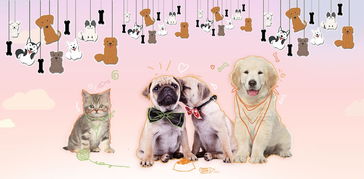 宠物用品与食品 为爱宠打造健康舒适生活