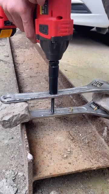 五金工具与宠物用品的奇妙结合 打造爱宠专属舒适空间