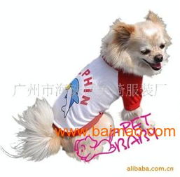 厂家供应新款时尚宠物春夏装，打造爱宠潮流新风尚